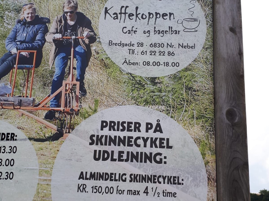 Skinnecykling Nymindegab景点图片