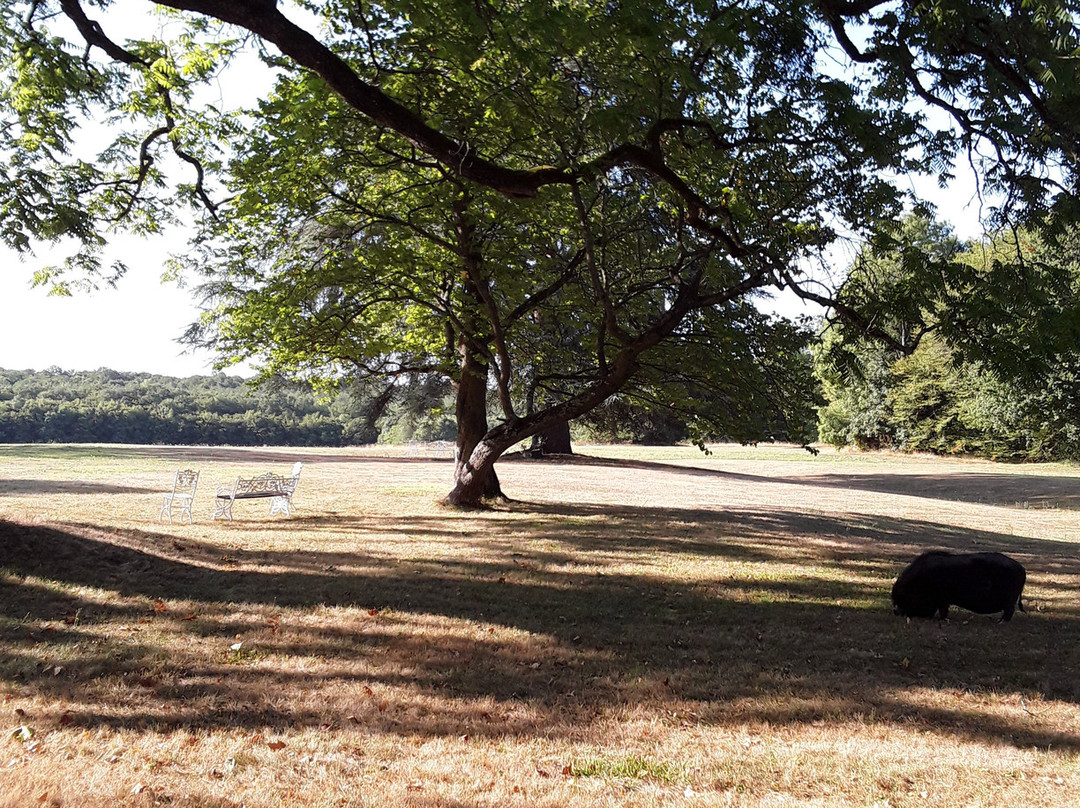 瑞泽城堡酒店主图