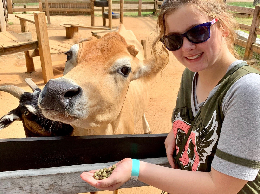 Chehaw Park & Zoo-奥尔巴尼必去景点