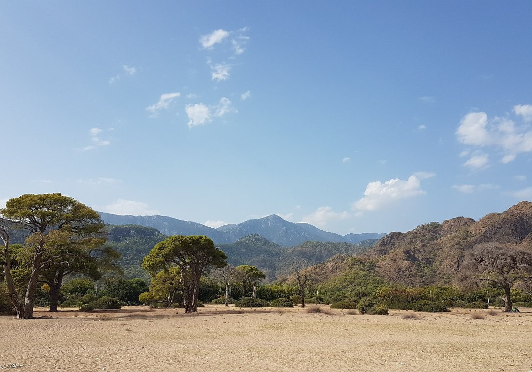 Tunays Pansiyon主图