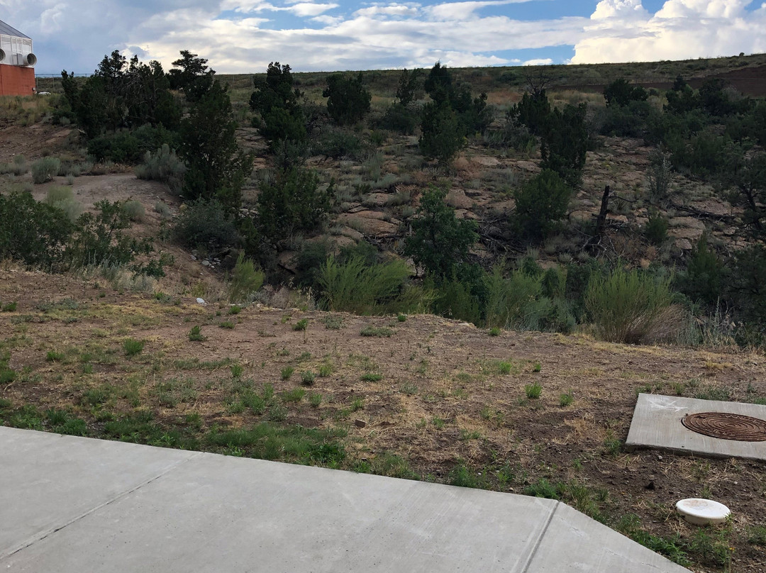 Holiday Inn Express & Suites Los Alamos Entrada Park By IHG主图