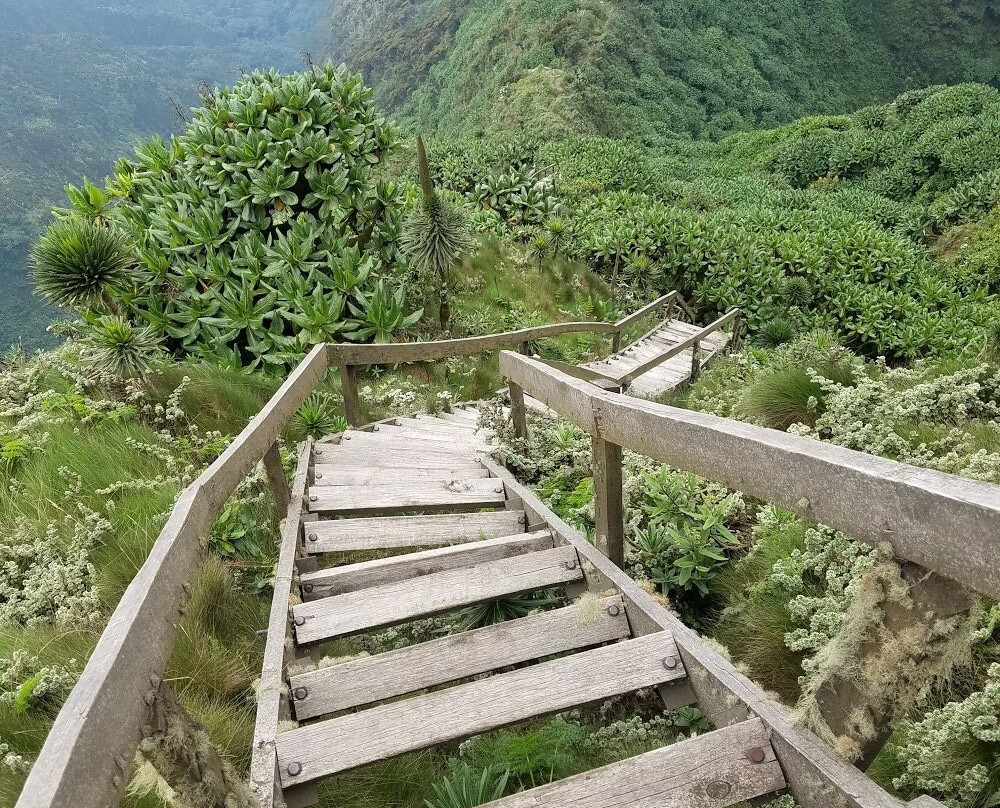 Mount Sabinyo景点图片