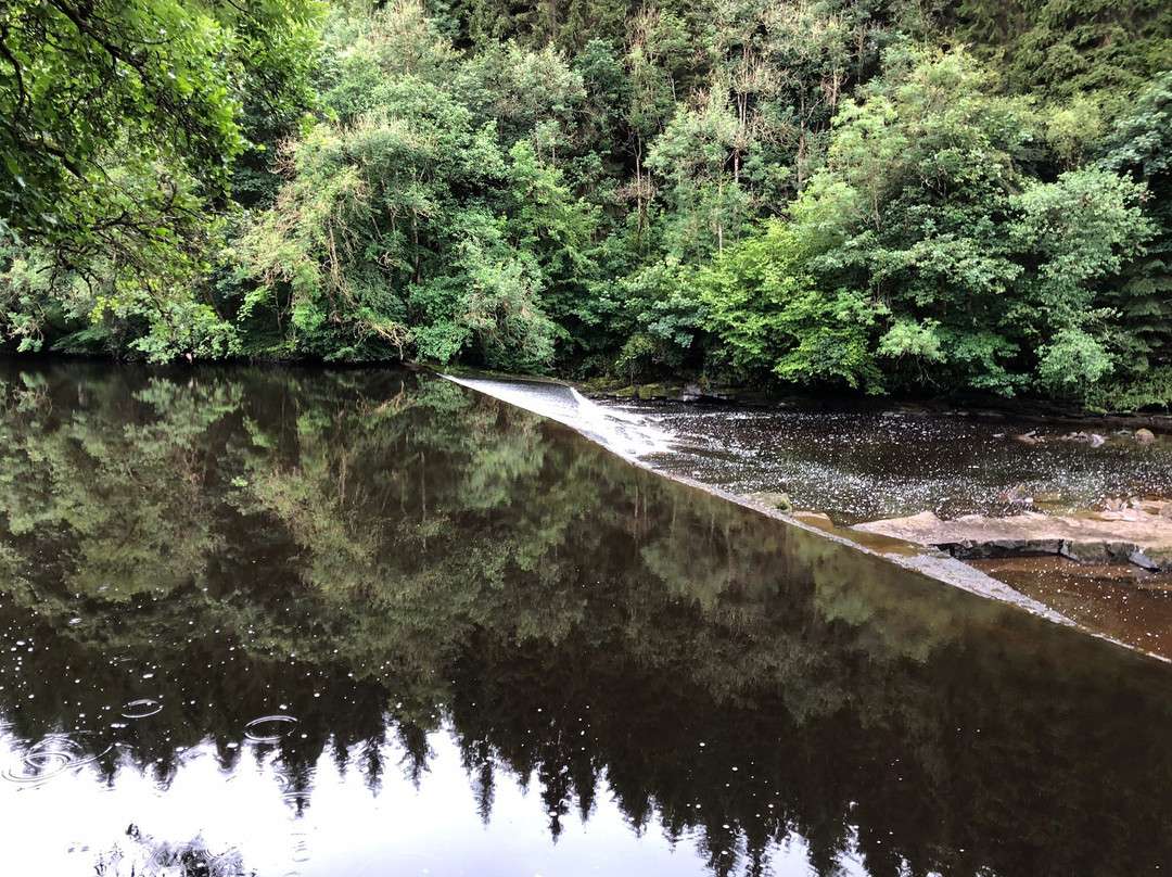 Falls of Clyde Visitor Centre and Wildlife Reserve景点图片