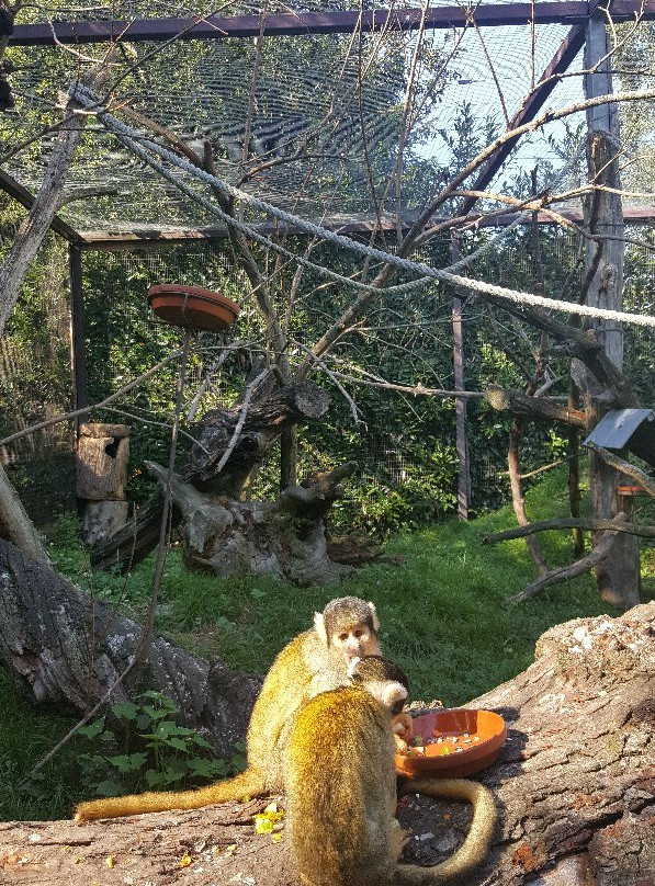 Vogelpark Heiligenkirchen景点图片
