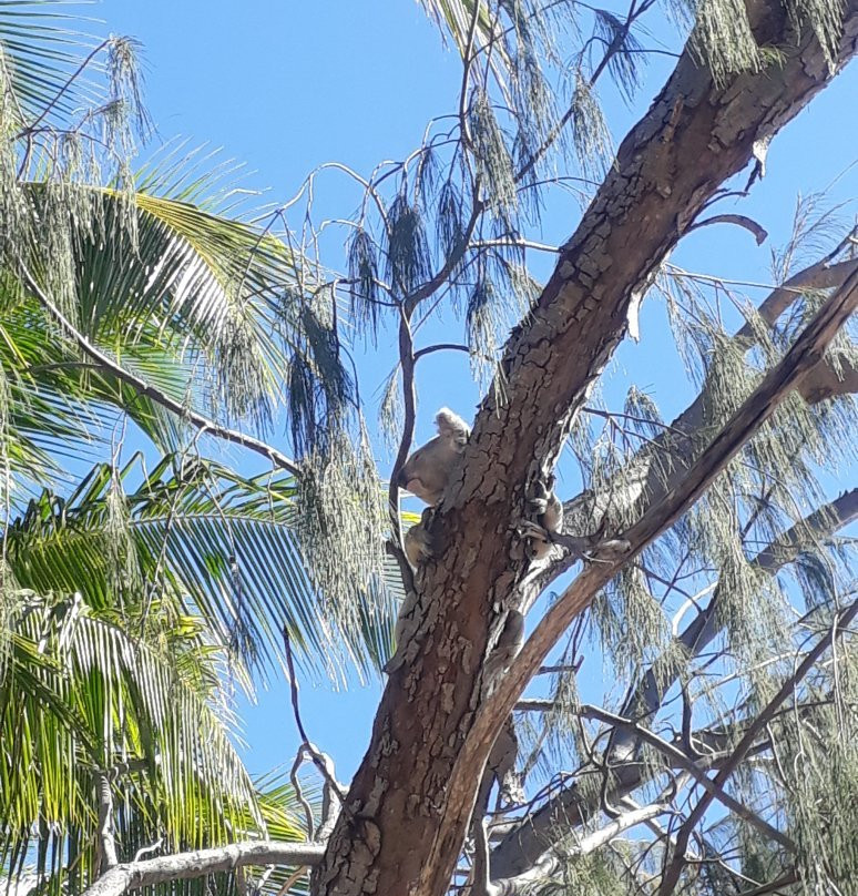 Horseshoe Bay Water Sports-Magnetic Island必去景点