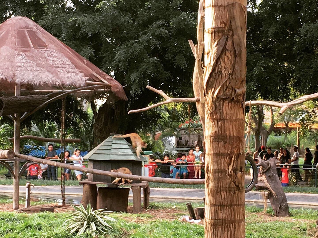 Parque Nacional Noel Kempff Mercado-圣克鲁斯省必去景点