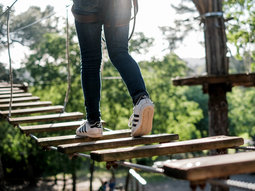 Adventure Park景点图片