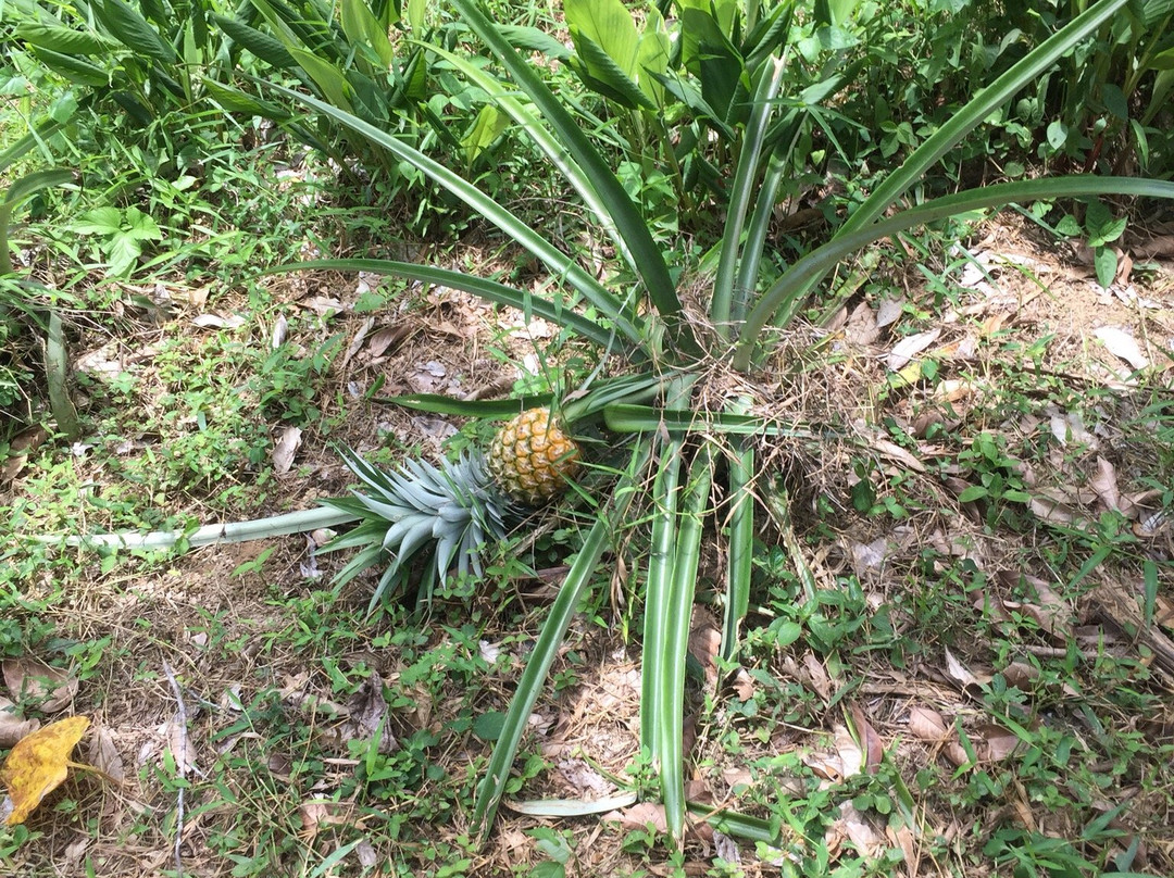 Khao Teppitak-万打坤必去景点