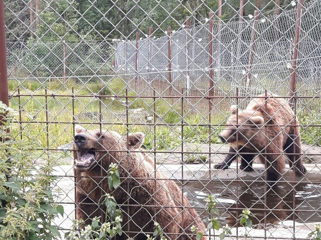 The Predator Center in Kuusamo景点图片