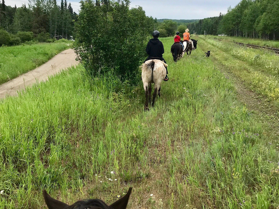 Whispered Dreams Ranch-Shabaqua必去景点
