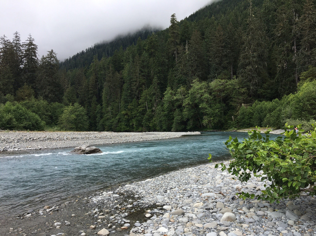 Hoh River景点图片