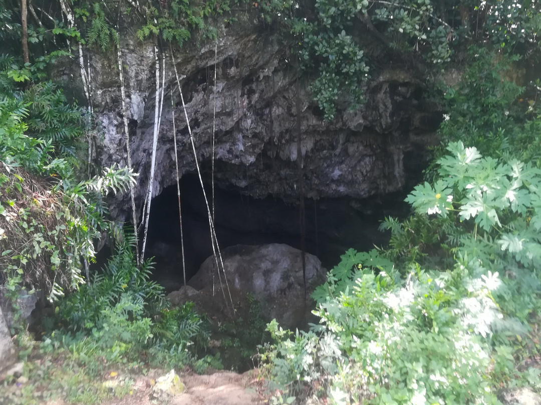 Tropical Tours Guam-杜梦湾必去景点