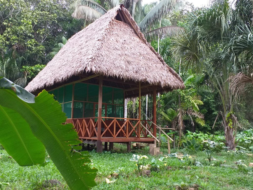Tambopata Wild