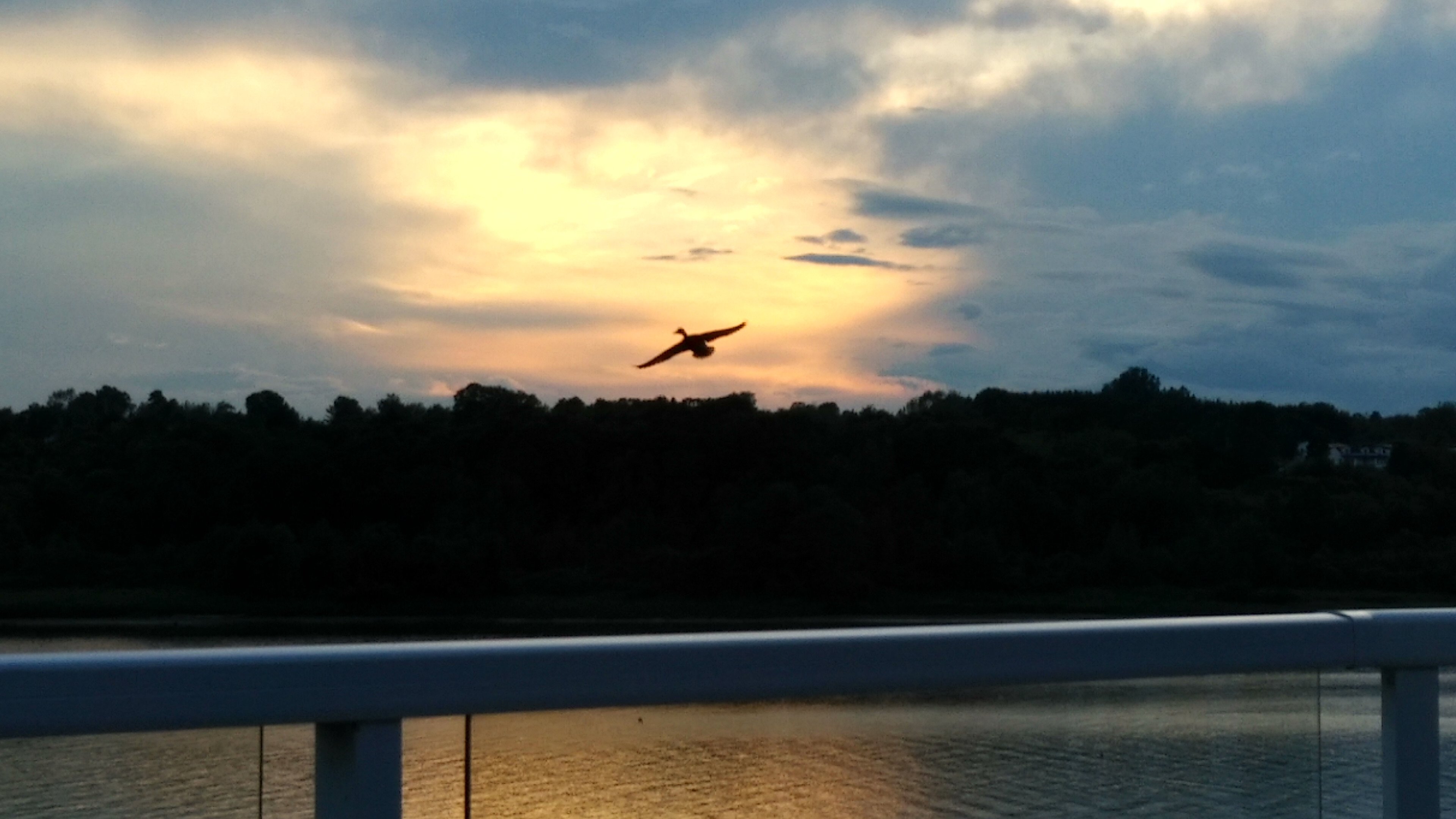 The Peak Sunset B&B-官方