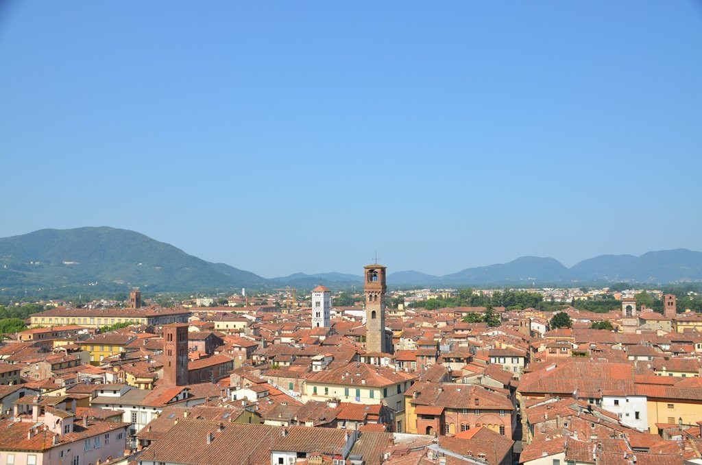Torre Guinigi景点图片