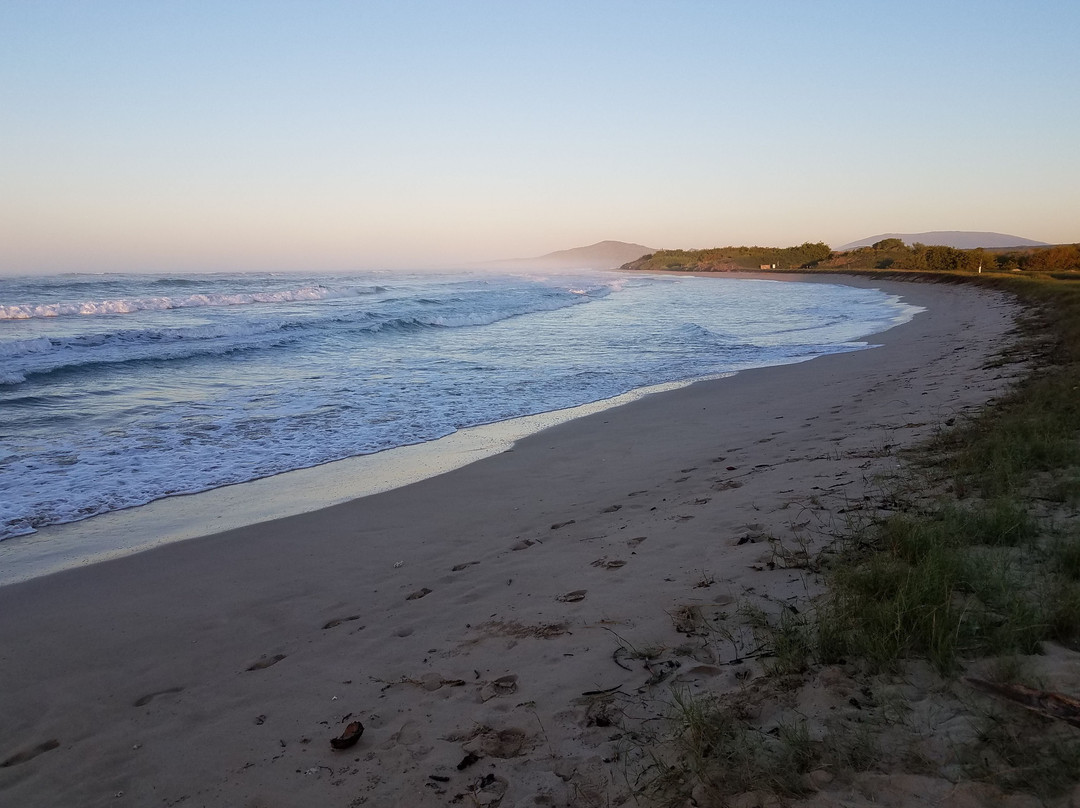 Hostal La Jungla主图