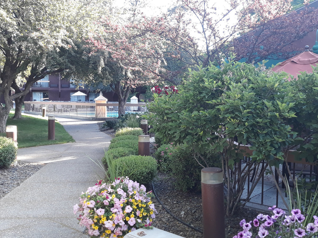 桑里奇贝斯特韦斯特酒店主图