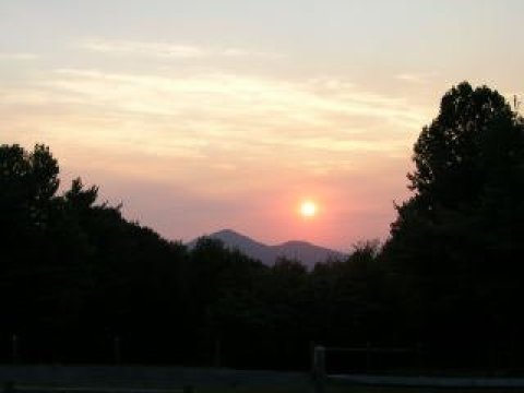 Bent Mountain Lodge-官方