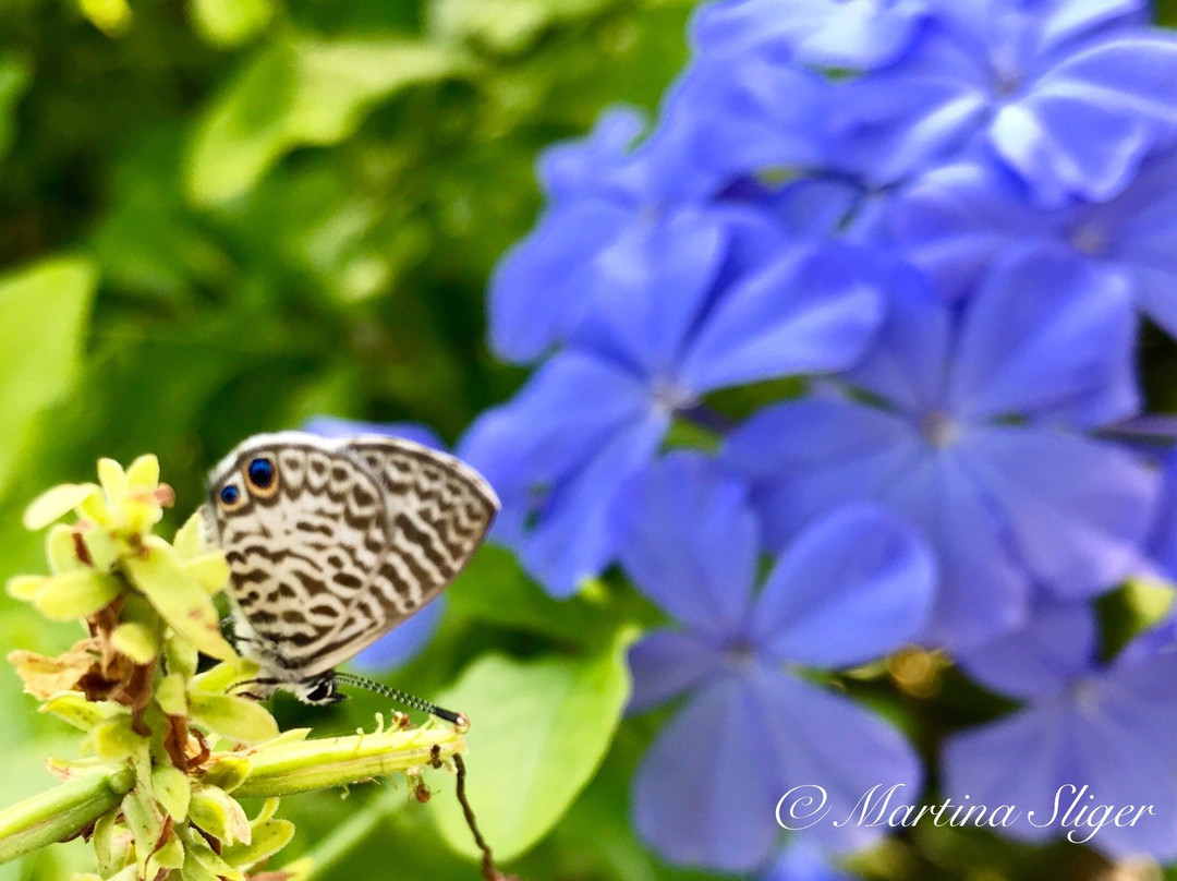 Ream Wilson Clearwater Trail-克利尔沃特必去景点
