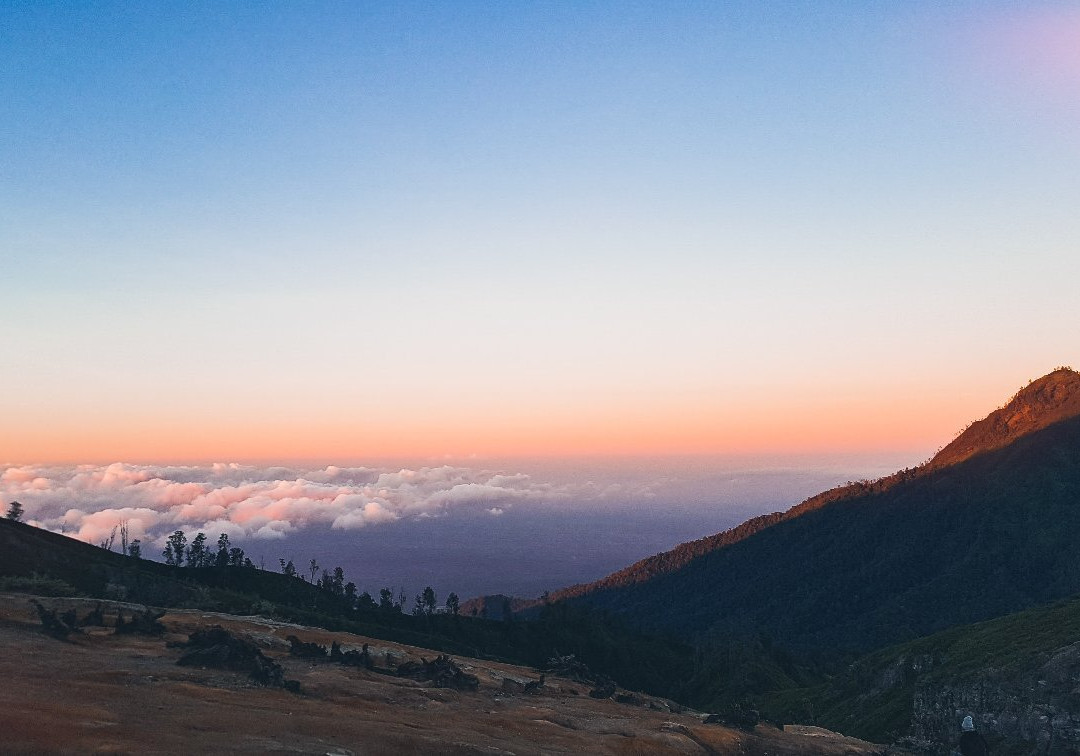 Mango Tree Guesthouse主图