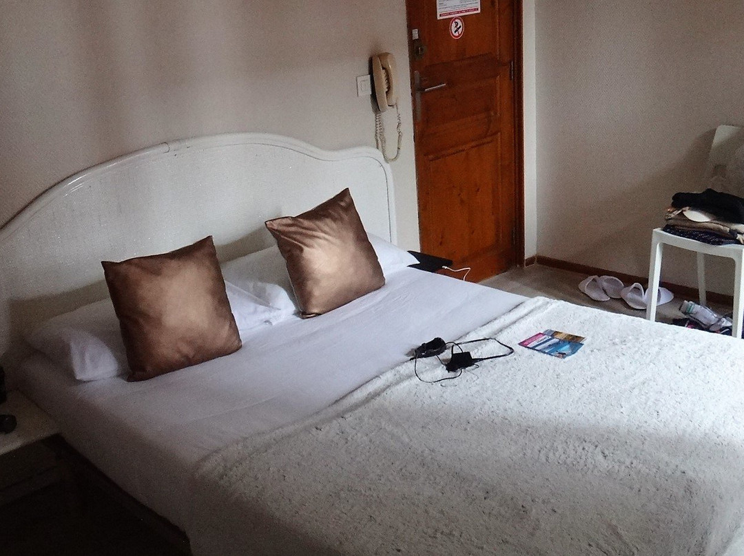 Hotel de la Gare主图