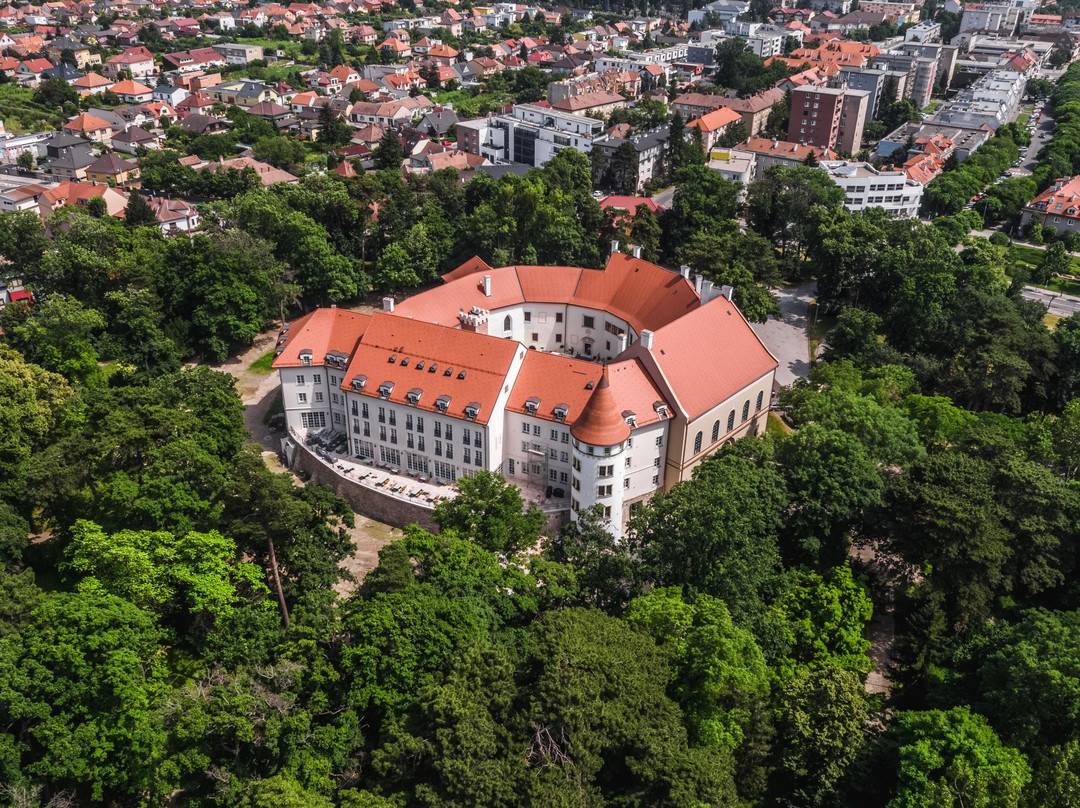 布拉迪斯拉发酒店住宿-Palace Art Hotel Pezinok