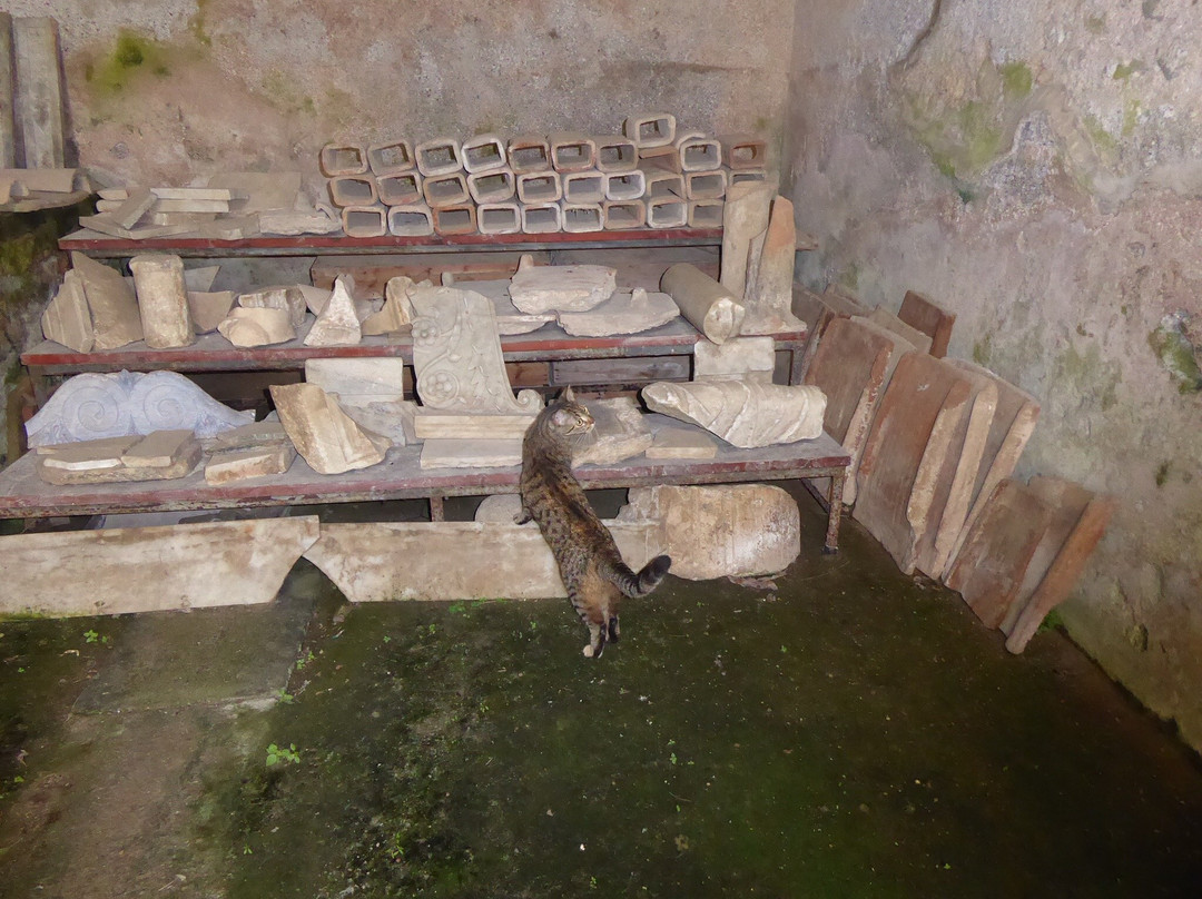 Villa Romana e Antiquarium-米诺利必去景点