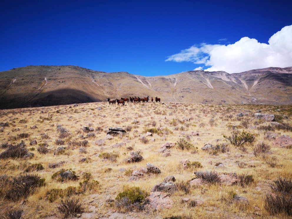 El Refugio del Geyser-官方