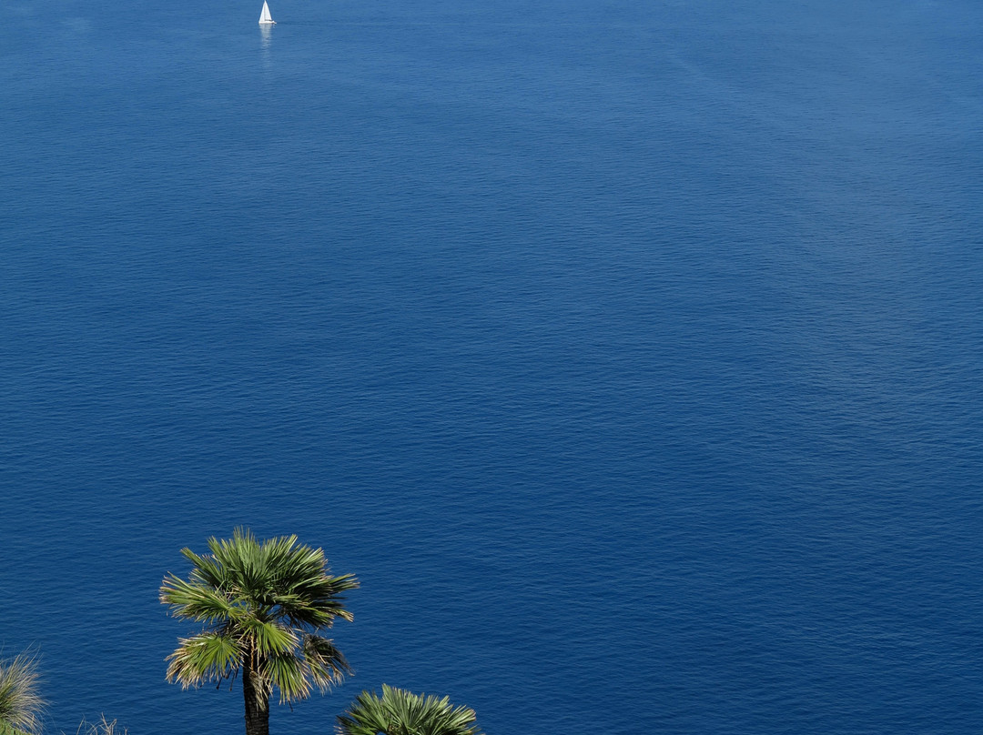 MA-10-Sol de Mallorca必去景点