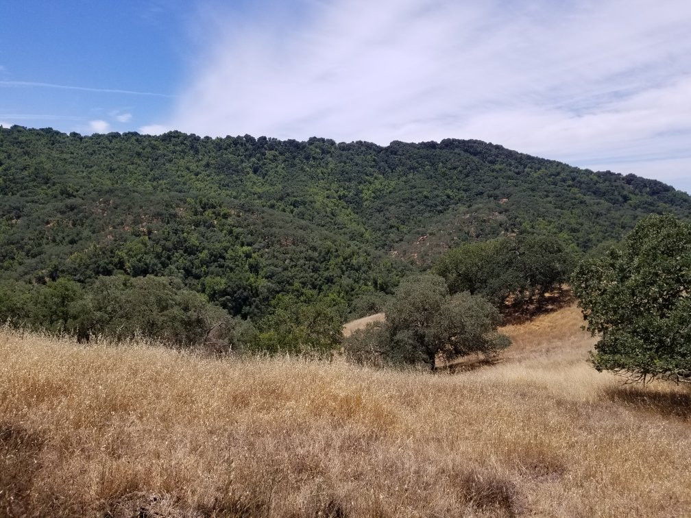 Henry W. Coe State Park-摩根希尔必去景点