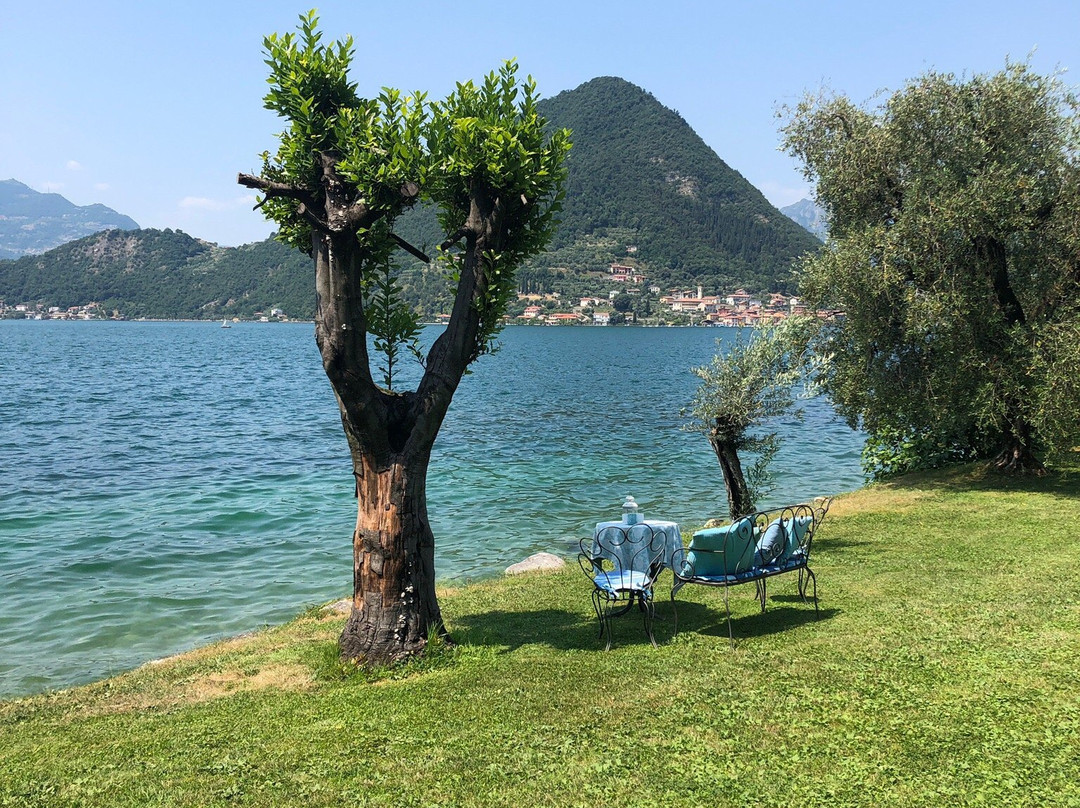 Paradise Coast主图