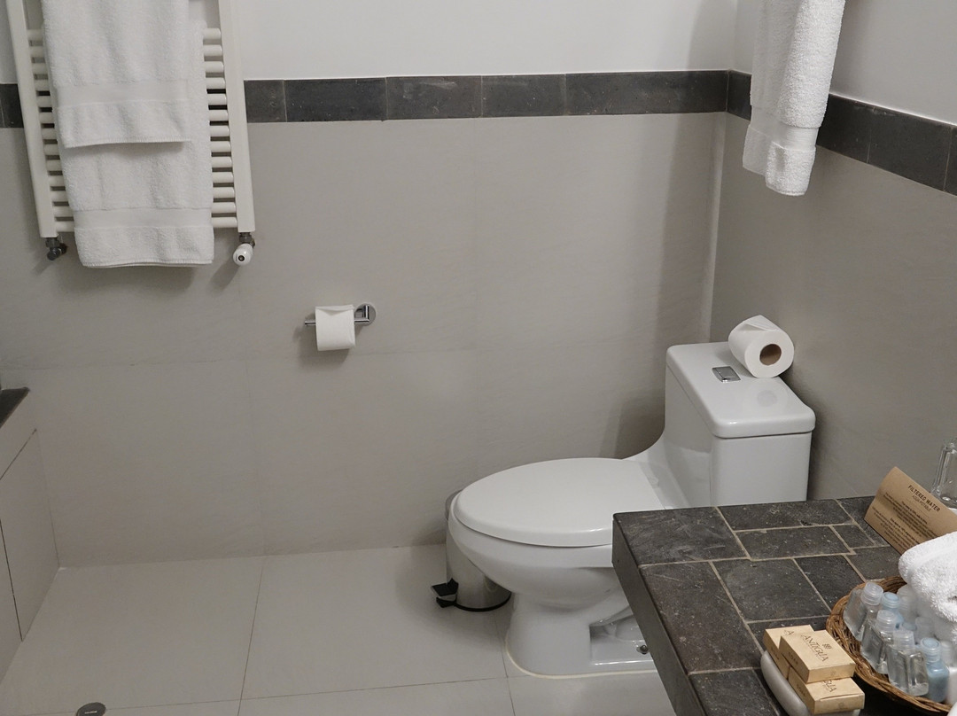 Tierra Viva Puno Plaza Hotel主图