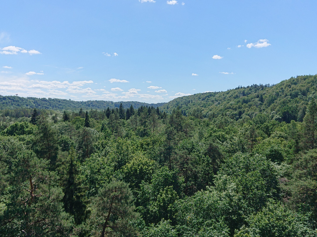 Gauja National Park景点图片