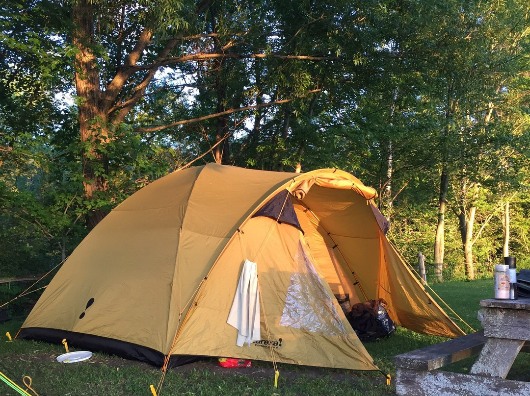 Bensfort Bridge旅游攻略图片