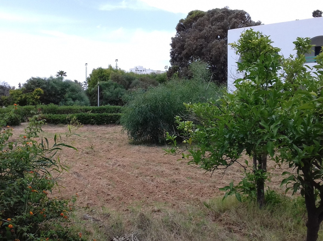 El Mouradi Cap Mahdia主图