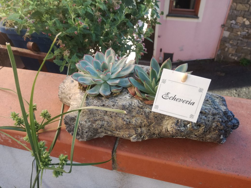 B&B la Gatta E IL Glicine主图