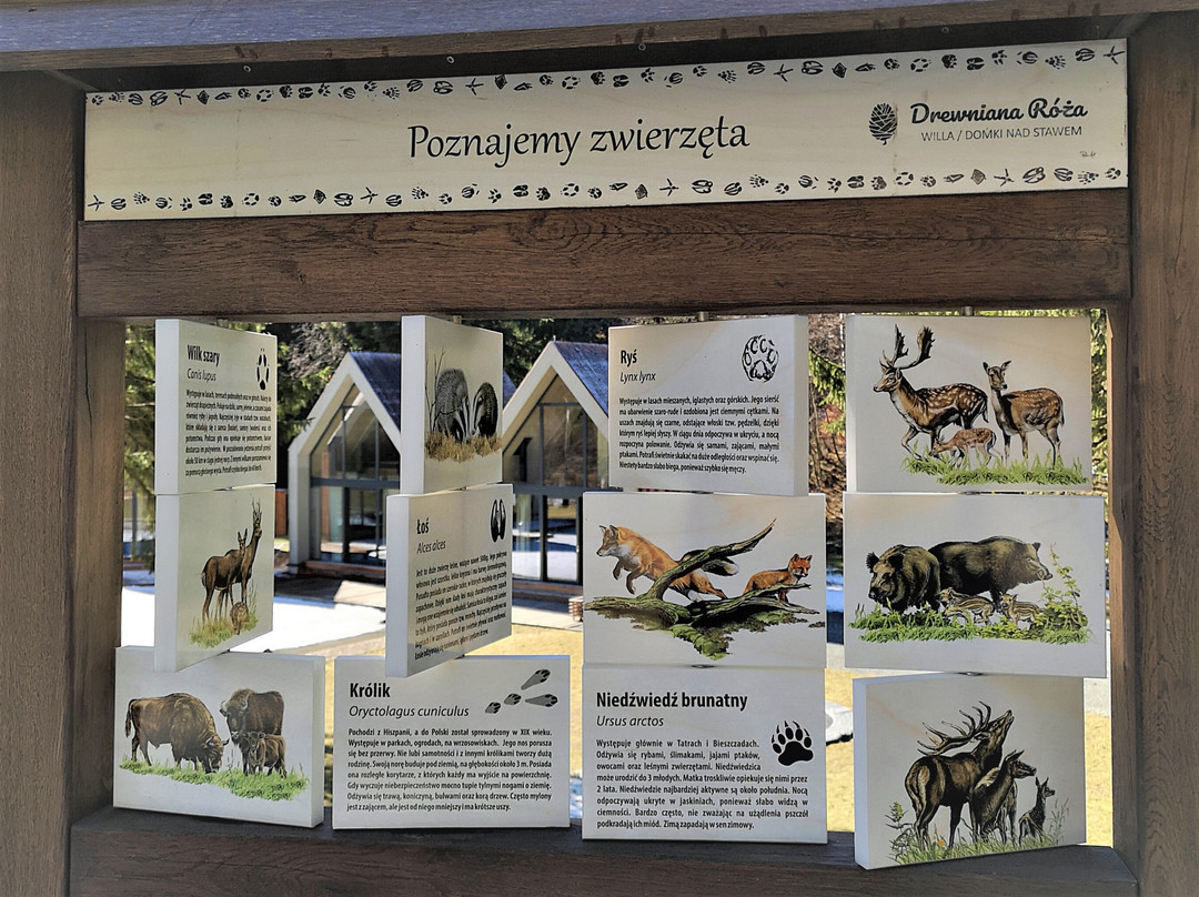 Piechowice酒店住宿-Drewniana Róża Villa / Cottages by the Pond