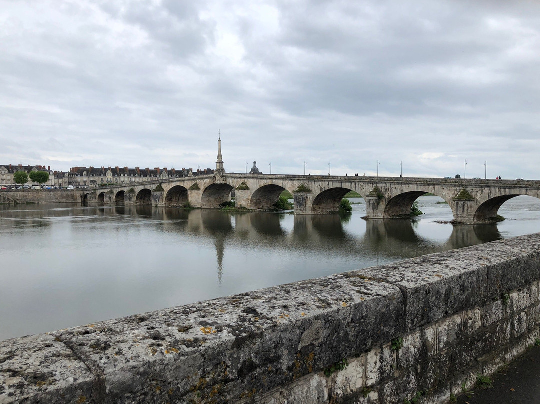 Pont Jacques-Gabriel景点图片