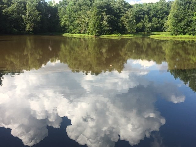 Cypress Grove Nature Park-Jackson必去景点