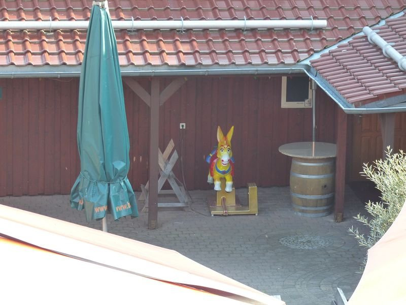 Brauner Hirsch主图