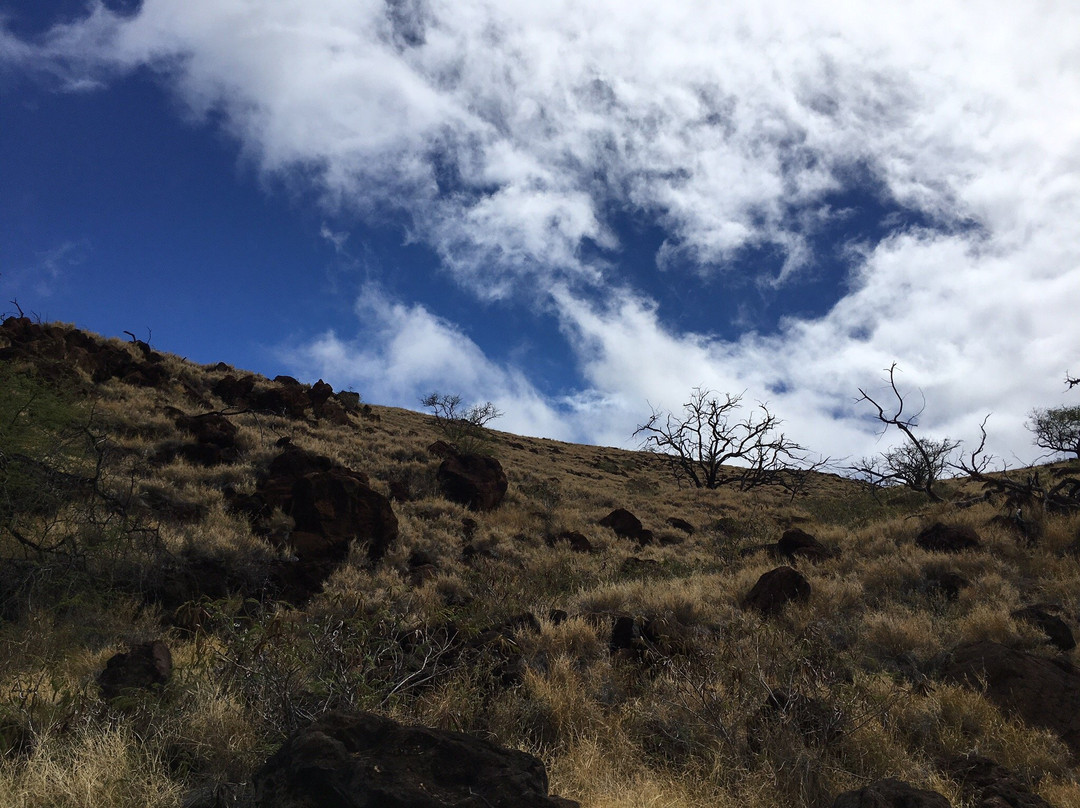 Lāhainā Pali Trail景点图片