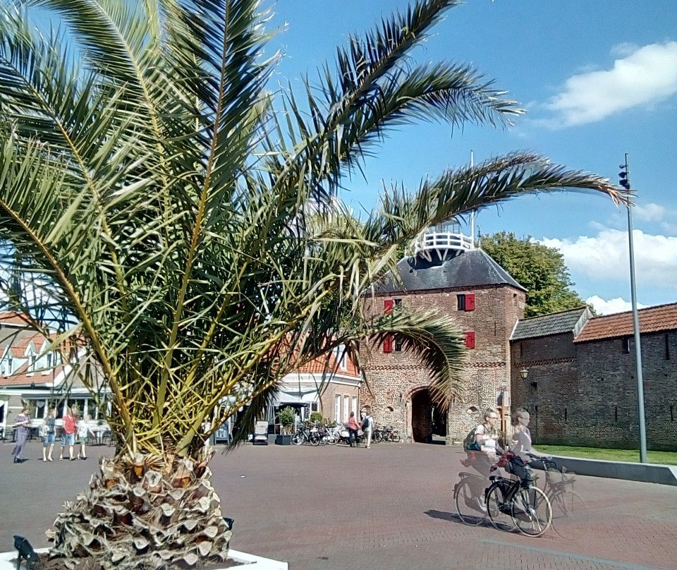 Vischpoort-Harderwijk必去景点