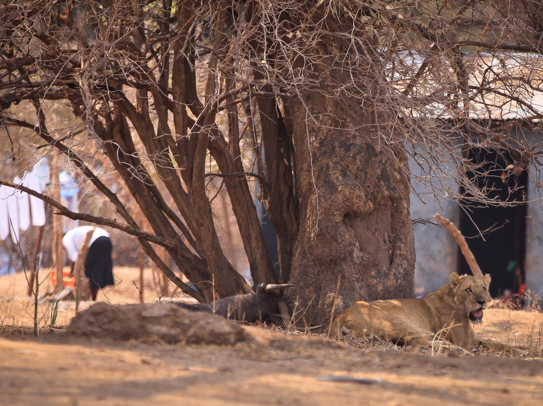 Self Drive Zim-哈拉雷必去景点