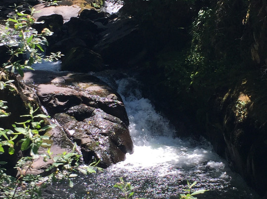 Sweet Creek Falls-Mapleton必去景点