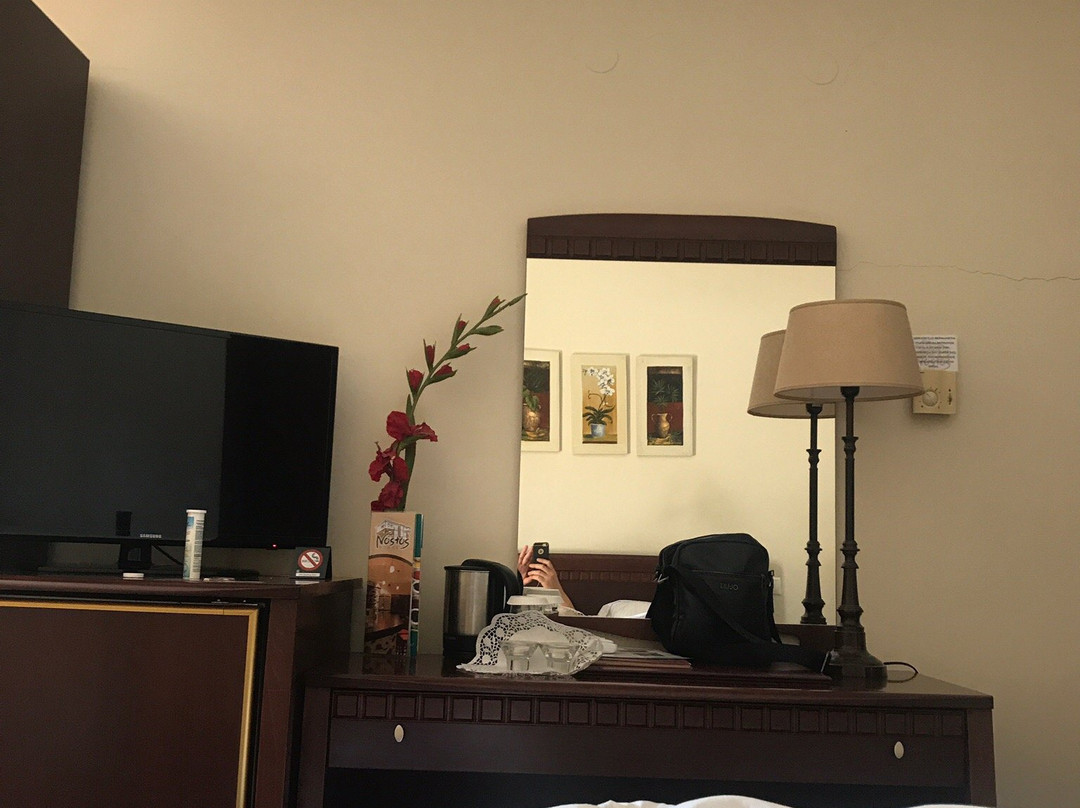 诺斯托斯酒店主图