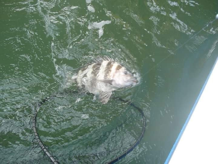 Gulf Adventures Fishing-格尔夫海岸必去景点