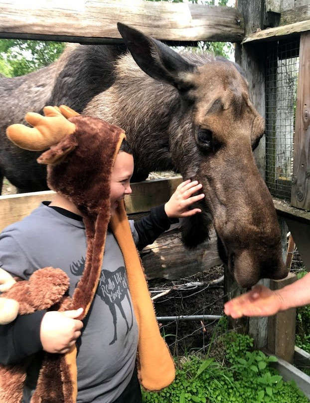 Kroschel Films Wildlife Center-海恩斯必去景点