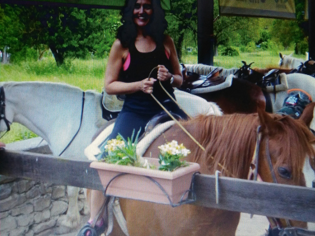 Caballos casa blas-Sarvise必去景点