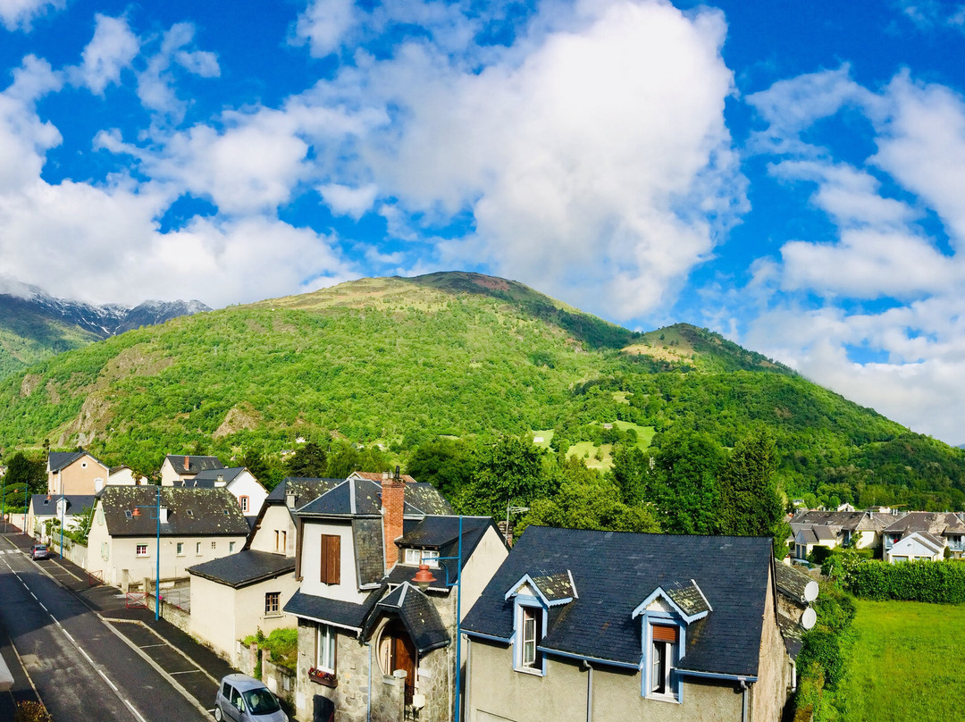 法国大酒店主图