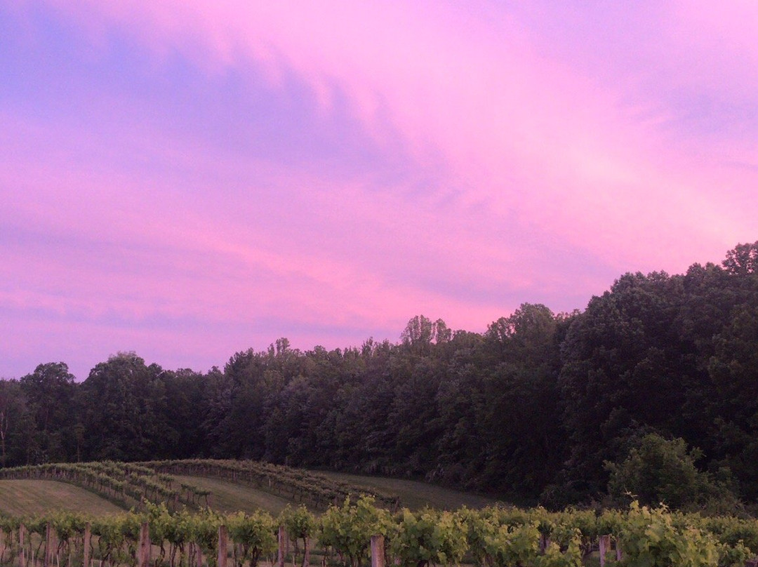 Sarah's Vineyard-Cuyahoga Falls必去景点